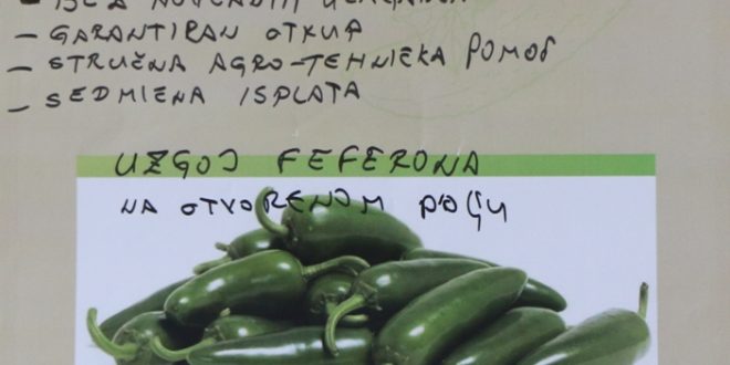 Najava prezentacije: Njemačka firma Carl Kuehne nudi kooperantima iz Kaknja sadni materijal i ostali repromaterijal za sadnju zelenog feferona, siguran otkup i mogući čisti prihod od 3.000 KM