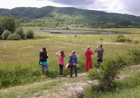 Povodom 2. februara – Međunarodnog dana zaštite močvara: Na području močvare “Bistrik” zabilježeno 212 vrsta ptica